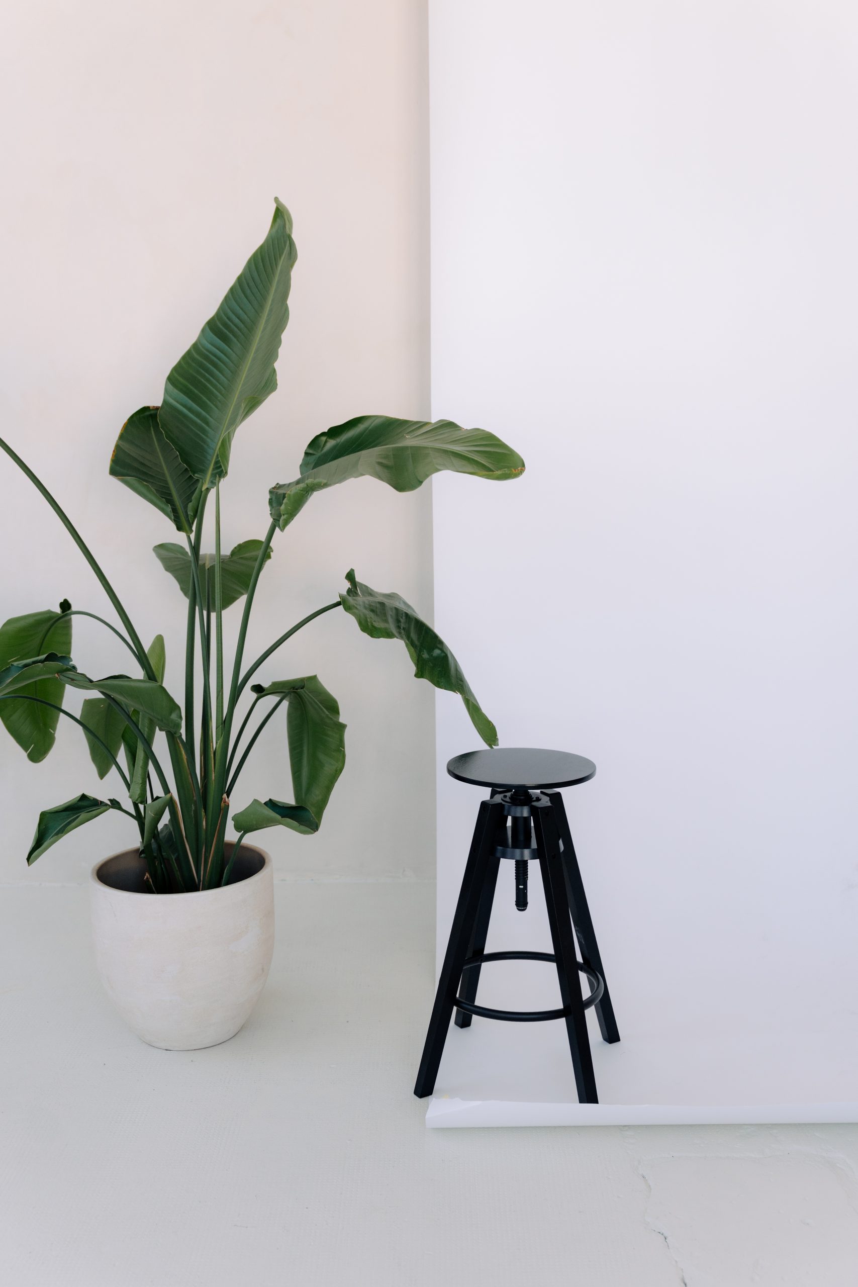 Ateliér HLight Studio s dekoracemi