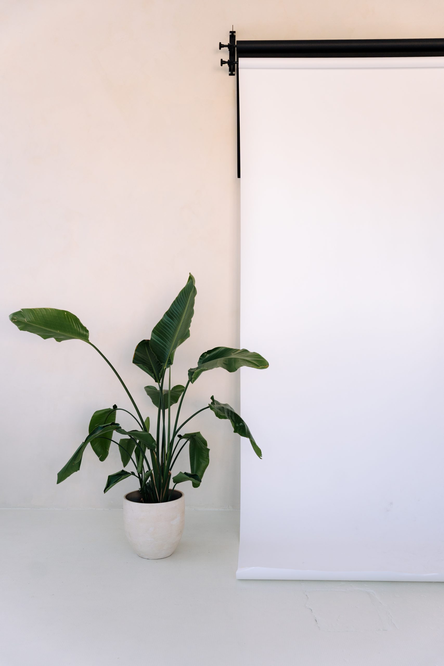 Fotoateliér HLight Studio, bílé pozadí